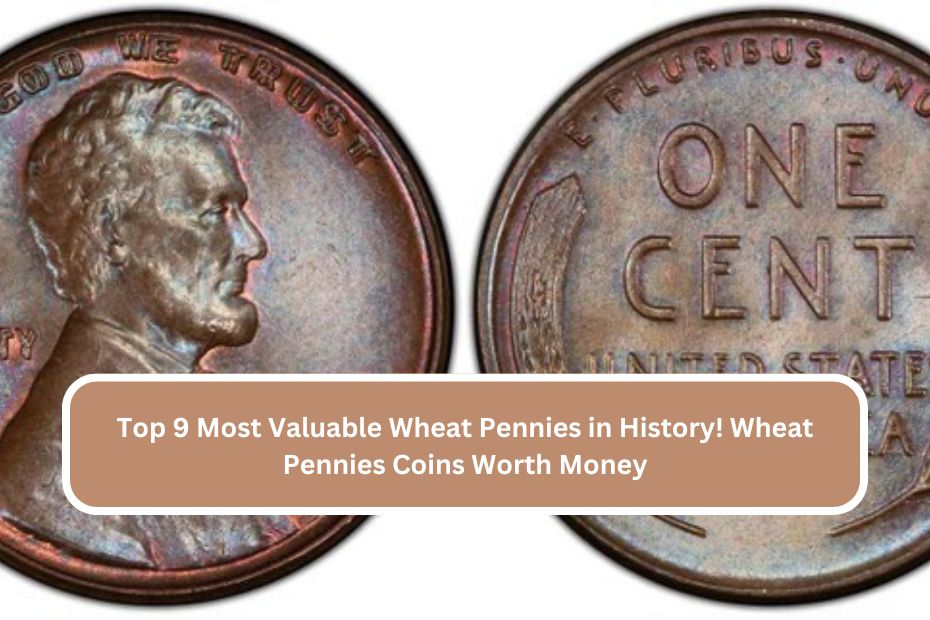 Top 9 Most Valuable Wheat Pennies in History! Wheat Pennies Coins Worth Money